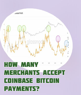 Americans in bitcoin profits in analysis