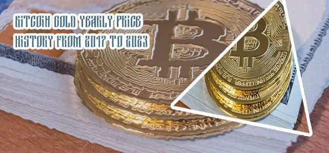 Bitcoin gold to usd