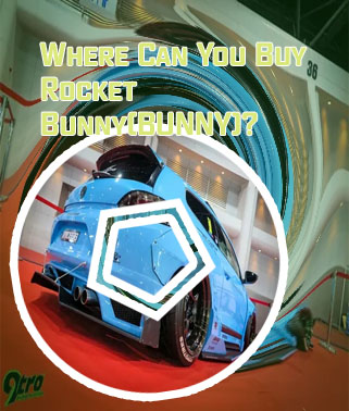 Buy rocket bunny crypto
