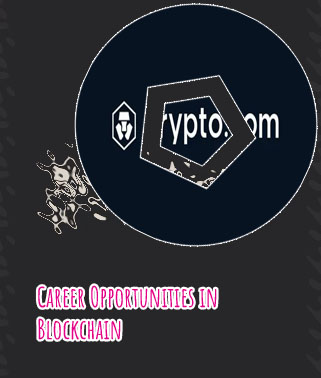 Crypto career