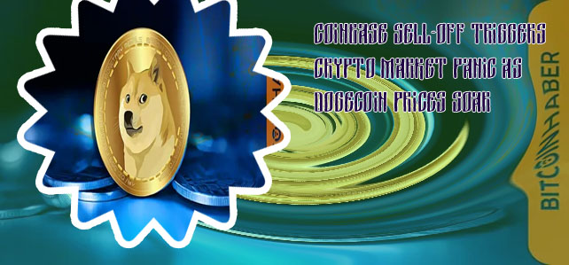 Dogecoin price per coin