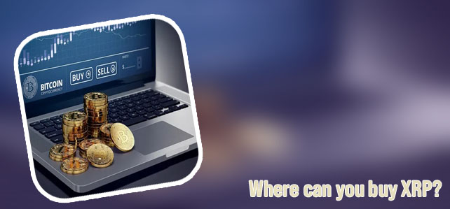 Where to buy xrp cryptocurrency