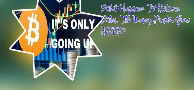 Will bitcoin go up again